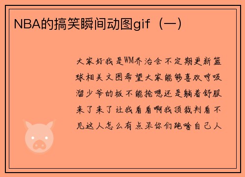 NBA的搞笑瞬间动图gif（一）